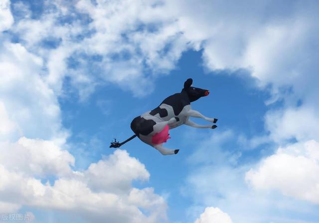 一头牛800kg,一座桥承重700kg,牛怎么过桥? - 盾灵网