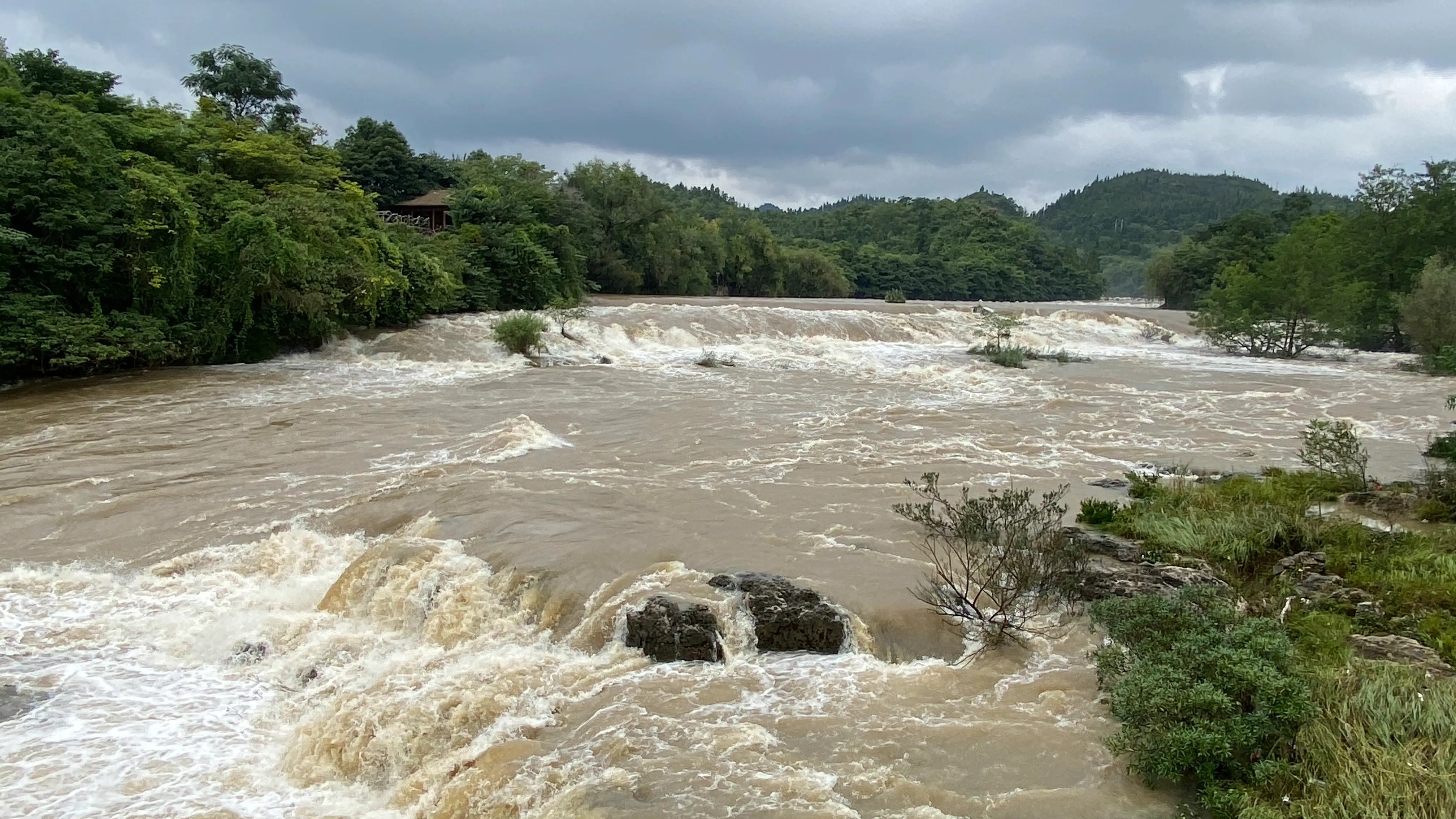 小河发大水会摧毁河里的鱼类蚌类吗? - 盾灵网